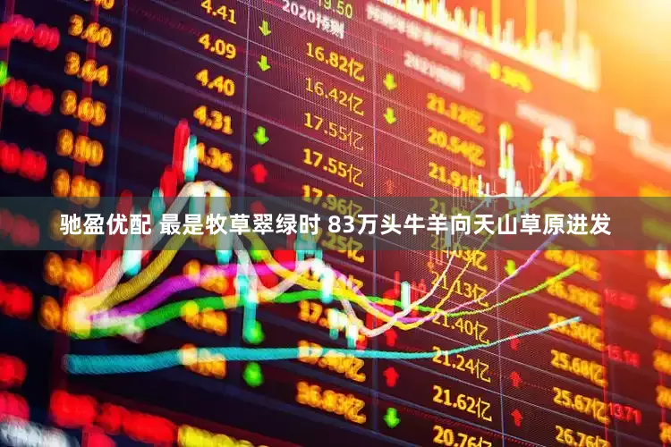 驰盈优配 最是牧草翠绿时 83万头牛羊向天山草原进发