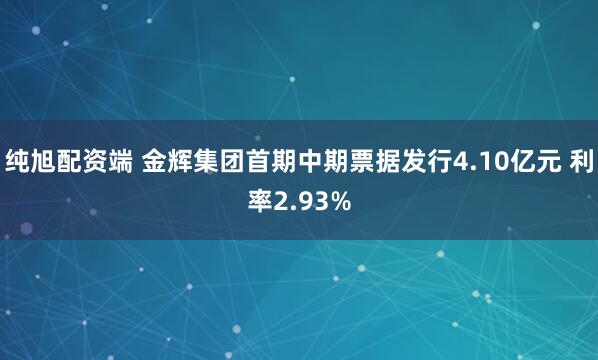 纯旭配资端 金辉集团首期中期票据发行4.10亿元 利率2.93%