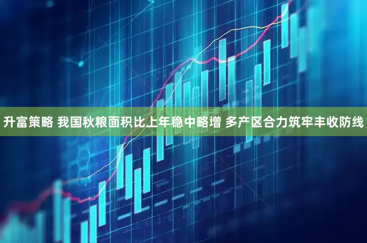 升富策略 我国秋粮面积比上年稳中略增 多产区合力筑牢丰收防线