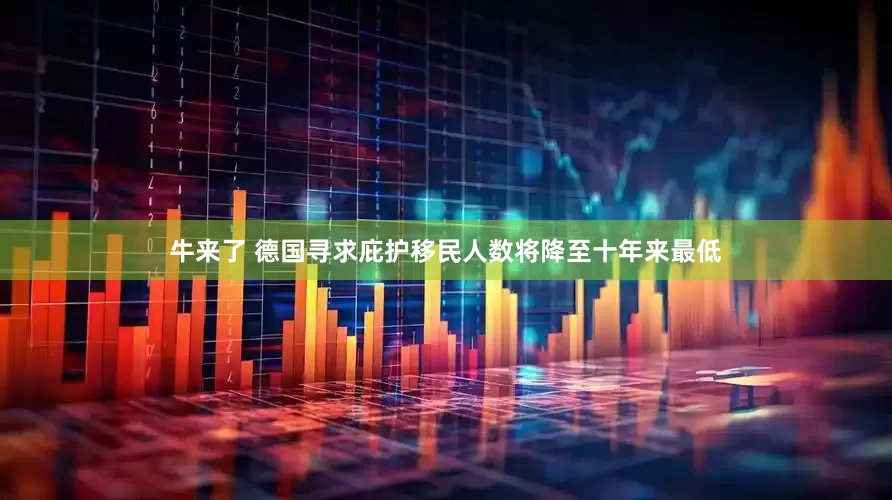 牛来了 德国寻求庇护移民人数将降至十年来最低