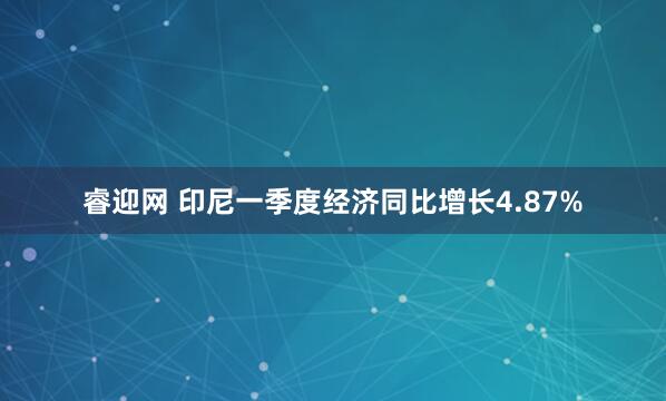 睿迎网 印尼一季度经济同比增长4.87%