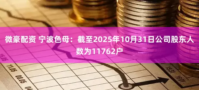 微豪配资 宁波色母：截至2025年10月31日公司股东人数为11762户