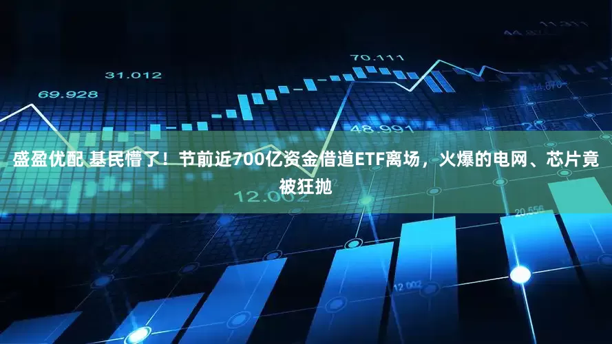 盛盈优配 基民懵了！节前近700亿资金借道ETF离场，火爆的电网、芯片竟被狂抛